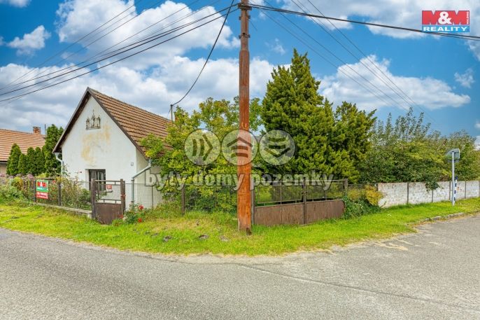 Prodej, Chalupa, Žiželice