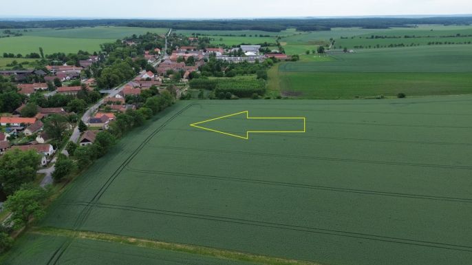 Prodej, Pole, Záhornice