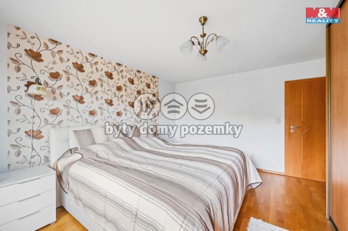 Prodej, Rodinný dům, Borová