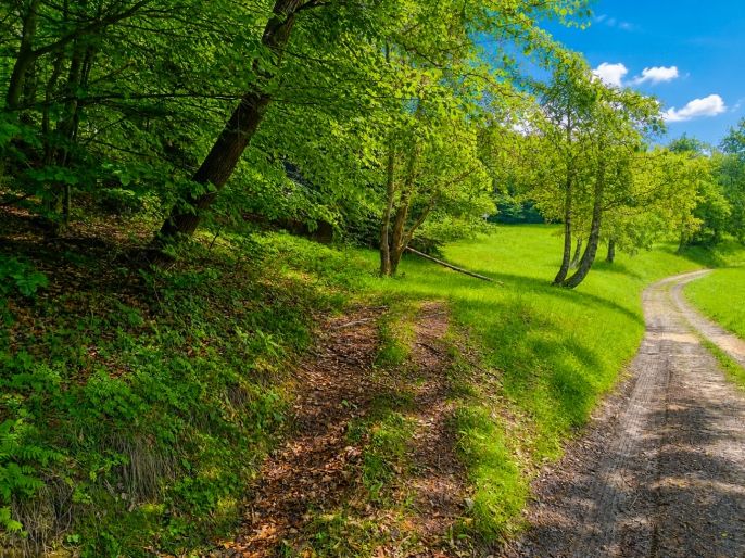 Prodej, Pozemek k bydlení, Vysoká nad Kysucou