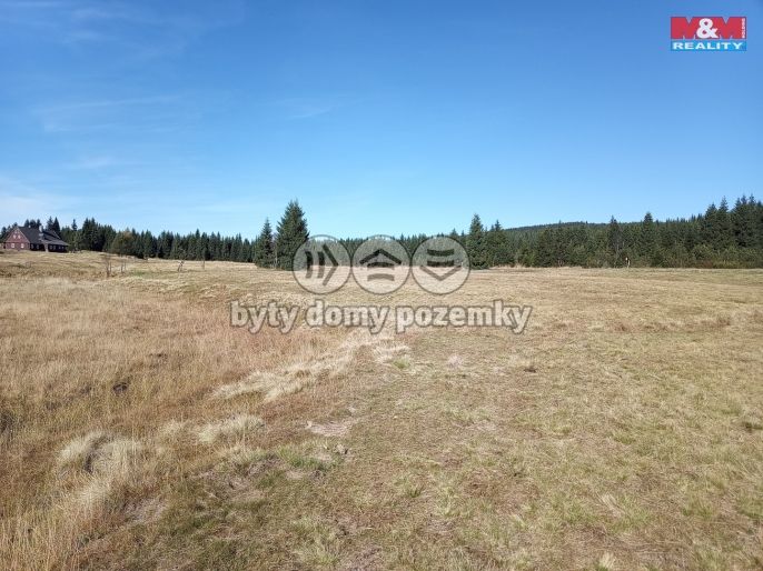 Prodej, Louka, Kořenov