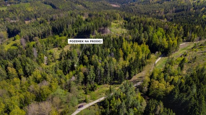 Prodej, Les, Železný Brod