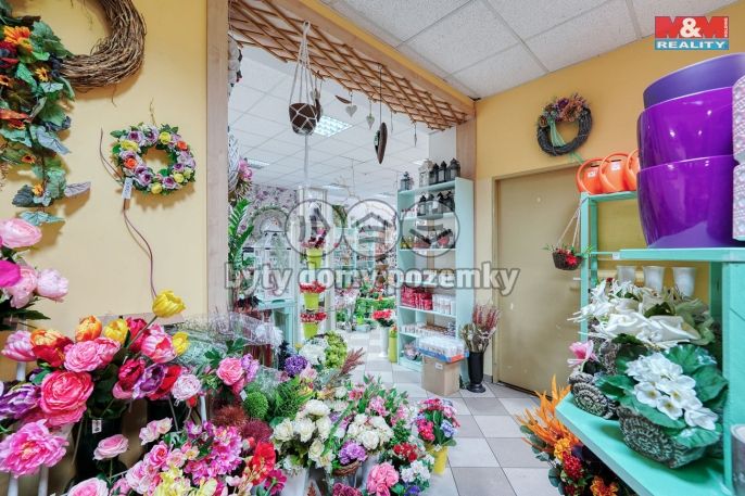 Pronájem, Obchod a služby, Třemošná