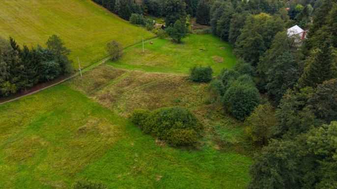 Prodej, Louka, Nový Hrádek