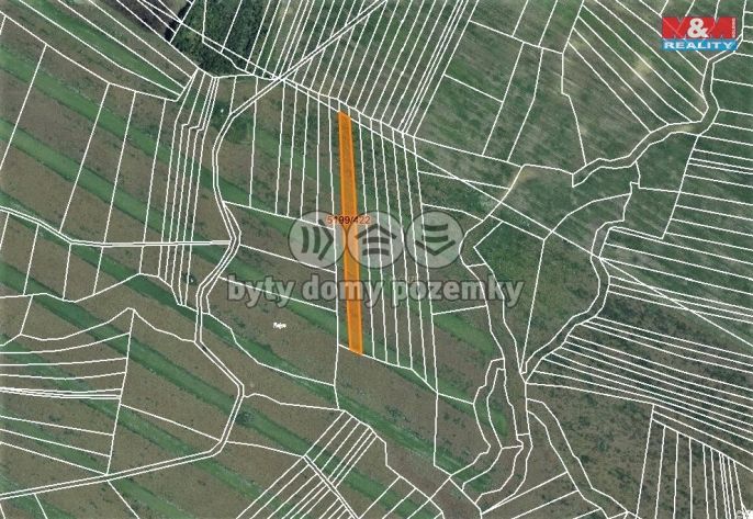 Prodej, Pole, Bzenec