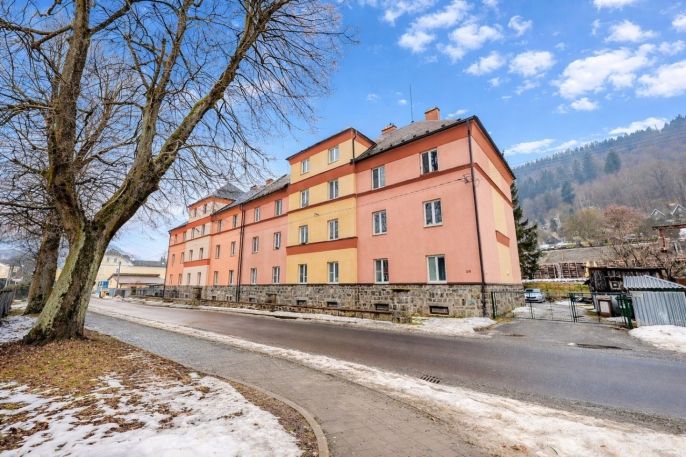 Prodej, Byt 2+1, Hanušovice