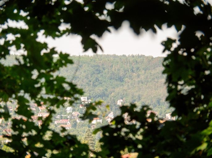 Prodej, Zahrada, Praha