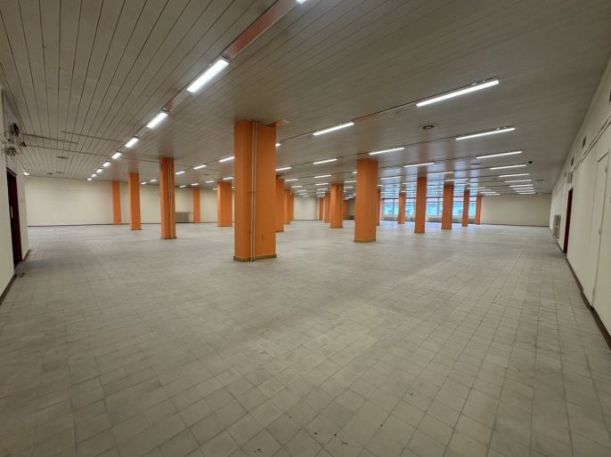 Pronájem, Obchod a služby, Štětí