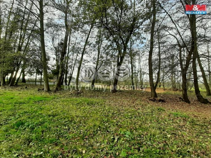 Prodej, Ostatní, Velký Újezd