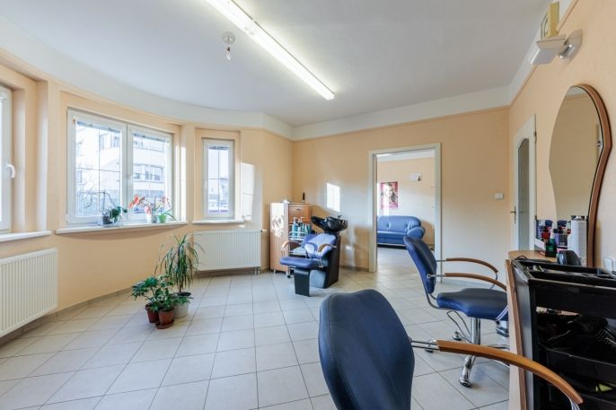 Prodej, Rodinný dům, Cheb