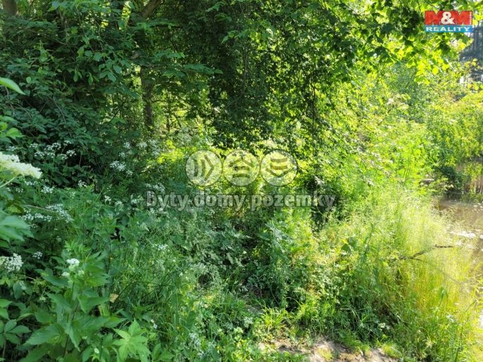 Prodej, Vodní plocha, Toužim