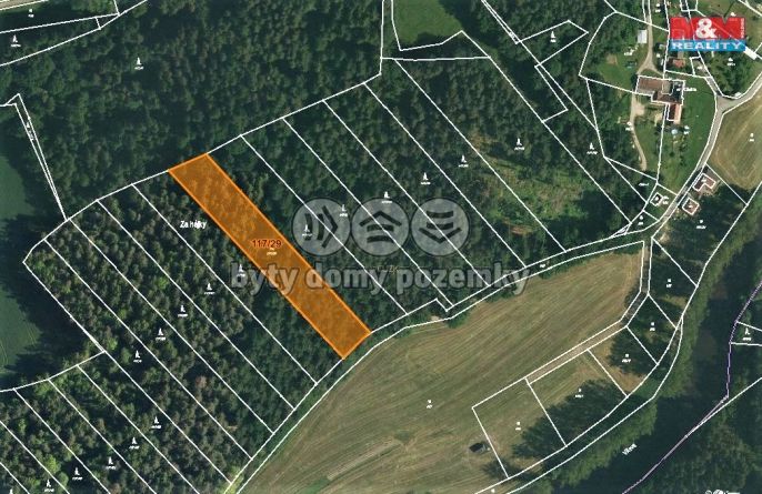 Prodej, Les, Zlatá Koruna