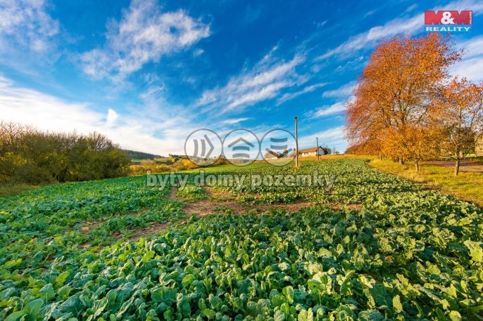 Prodej, Louka, Mladotice