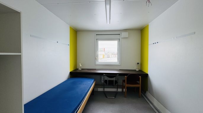 Prodej, Ostatní, Planá