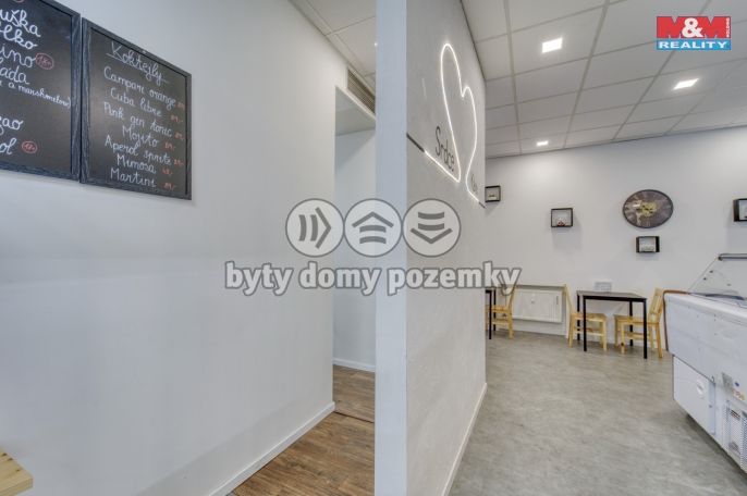 Pronájem, Obchodní objekt, Třemošná