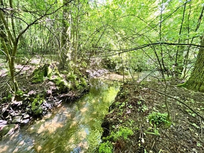 Prodej, Vodní plocha, Skalice u České Lípy