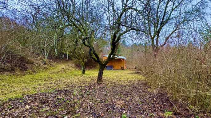 Pronájem, Zahrada, Brno