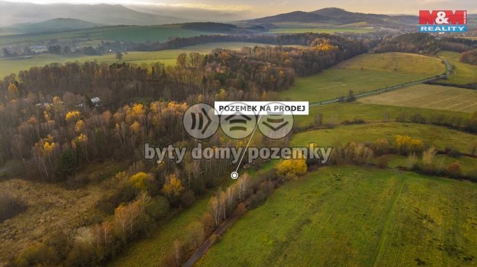 Prodej, Louka, Česká Lípa