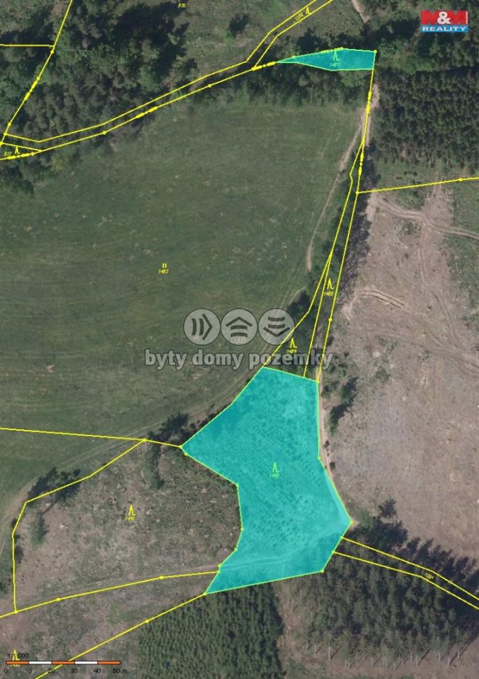 Prodej, Les, Vidochov