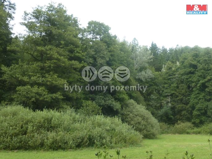 Prodej, Les, Vysoká Srbská