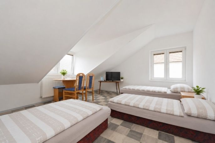 Prodej, Hotel, penzion, Větrný Jeníkov