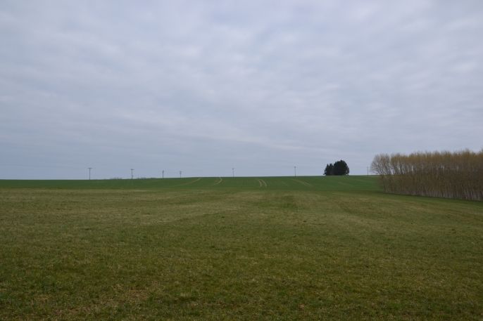 Prodej, Rodinný dům, Bohdašín
