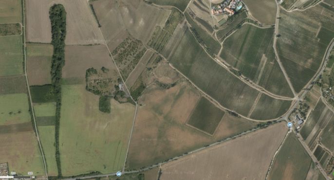 Prodej, Ovocný sad, Přítluky