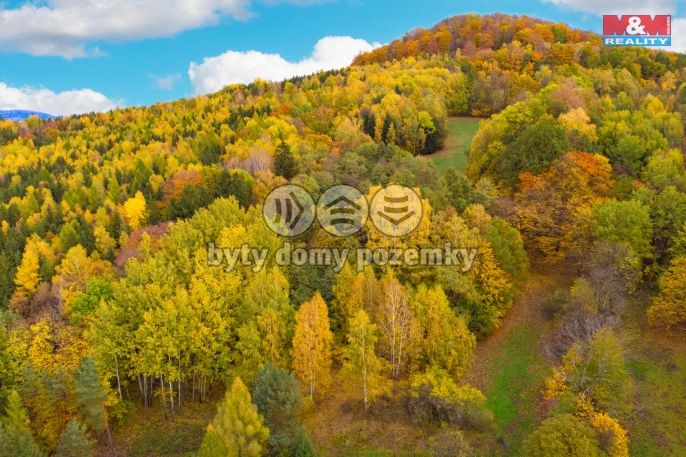 Prodej, Les, Skalice u České Lípy