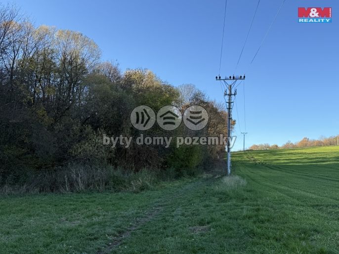 Prodej, Les, Velká Polom