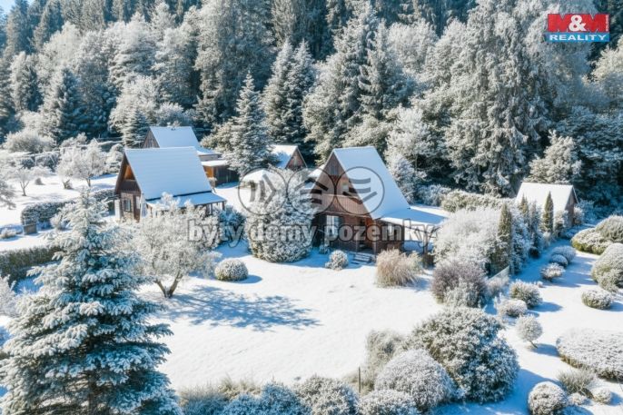 Prodej, Chata, Větřní