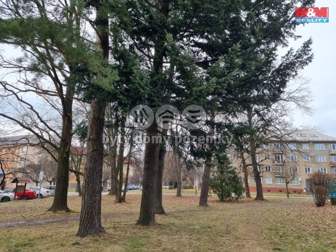 Prodej, Byt 1+1, Havířov