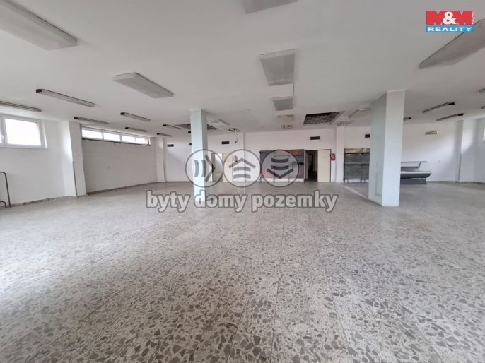 Pronájem, Obchod a služby, Čestice