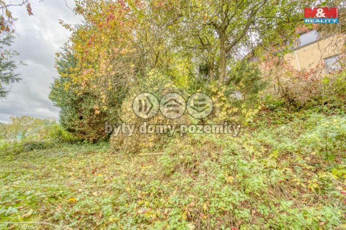 Prodej, Chata, Hromnice