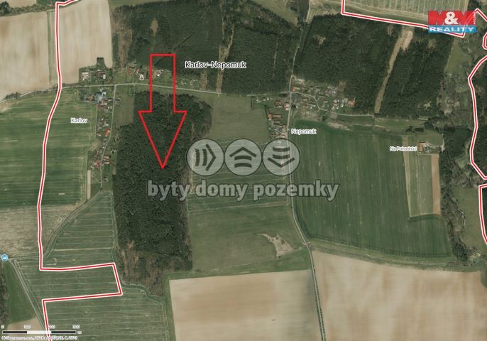 Prodej, Les, Dražíč