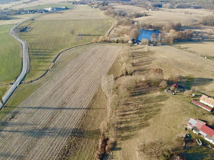 Prodej, Louka, Bošín