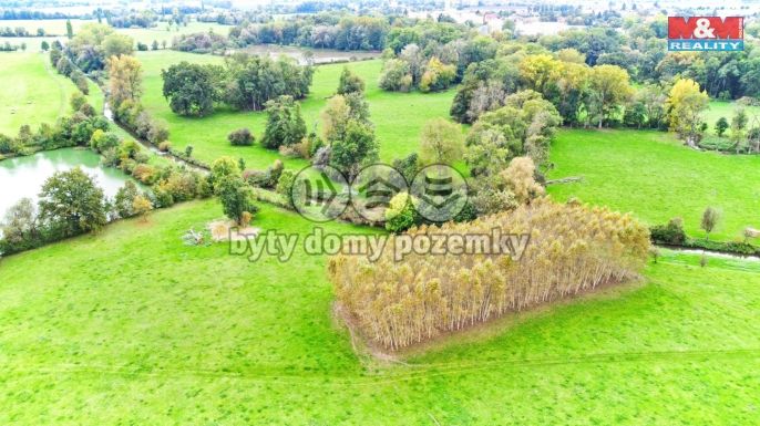 Prodej, Les, Skřivany