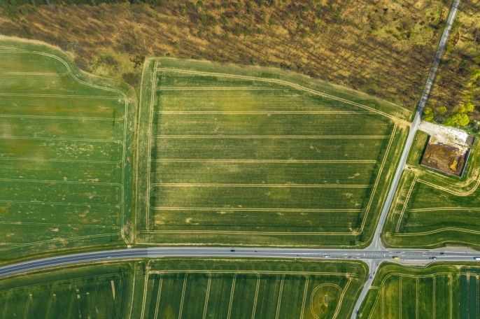 Prodej, Pole, Čistá