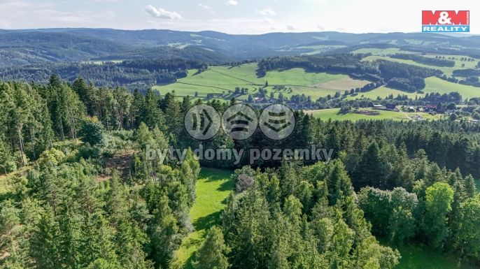 Prodej, Les, Petrovice u Sušice