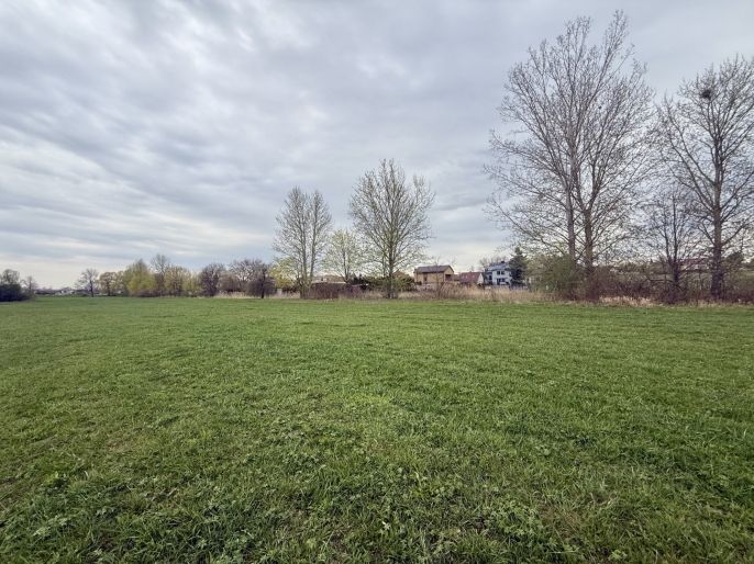 Prodej, Louka, Hradec Králové