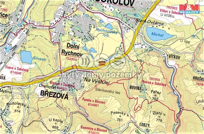 Prodej, Les, Dolní Rychnov