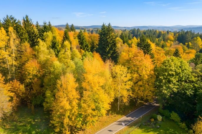 Prodej, Ostatní, Nová Ves nad Nisou