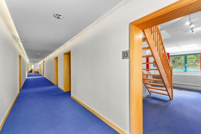 Prodej, Hotel, penzion, Geising
