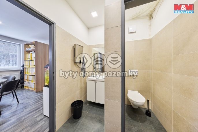 Prodej, Výrobní objekt, Trutnov