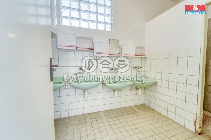 Prodej, Rodinný dům, Břasy