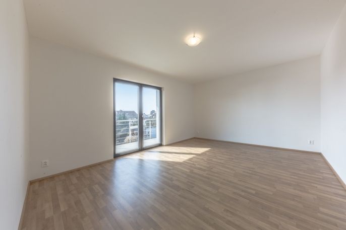 Pronájem, Rodinný dům, Nový Vestec