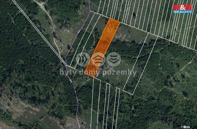 Prodej, Les, Nová Hradečná