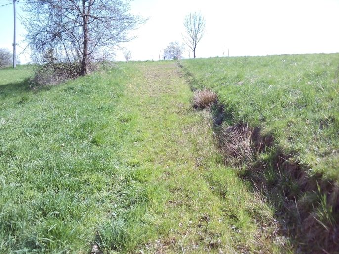 Prodej, Zahrada, Horní Bludovice