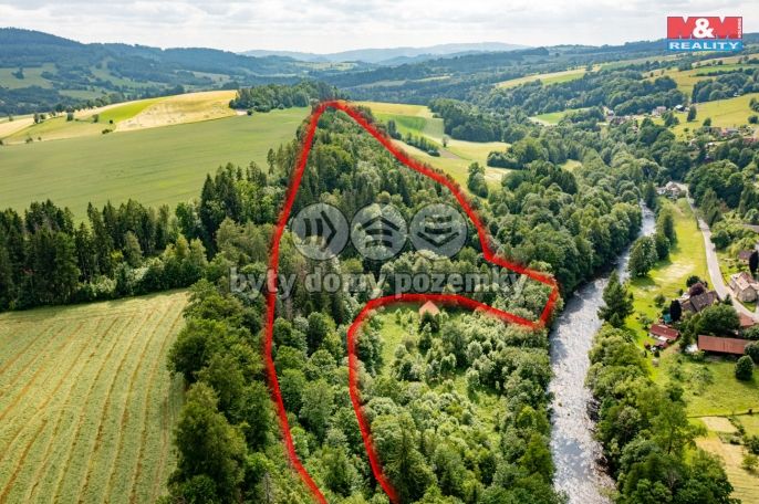 Prodej, Les, Peřimov