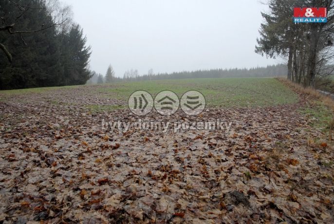 Prodej, Pole, Lomnice nad Popelkou