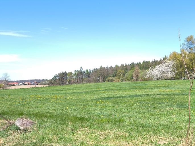 Prodej, Pozemek k bydlení, Příbram